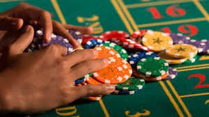 t55 bet t55 bet